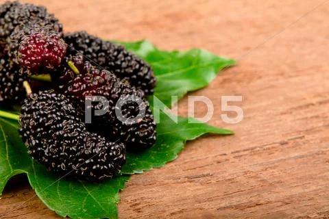 Mulberry and leaf on old wood Stock Photos