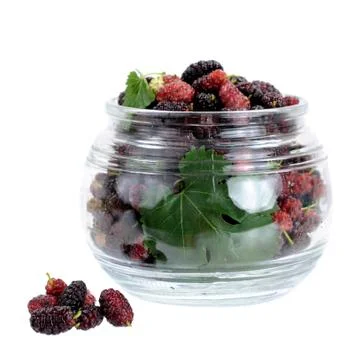 Mulberry berries Stock Photos