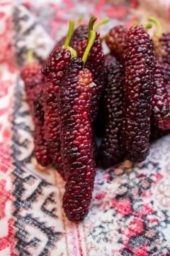 Mulberry fruit Extra large in size &amp;sweet looks yummy.A unique verity found i Stock Photos