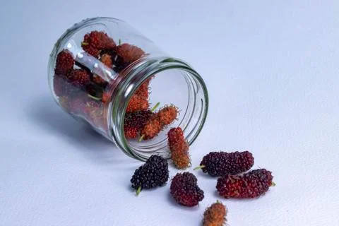 Mulberry fruit on a white background Stock-Fotos