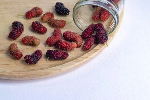 Mulberry fruit on a white background Stock Photos