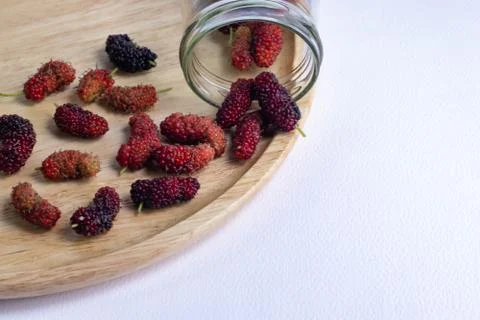 Mulberry fruit on a white background Stock Photos