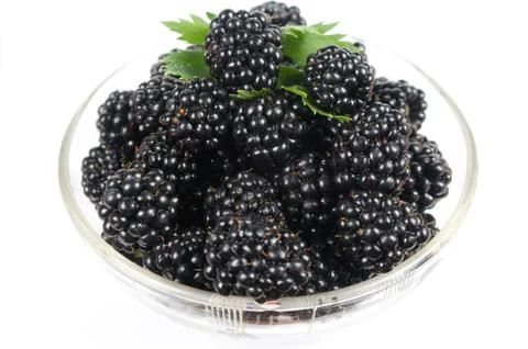 Mulberry isolated Stock Photos