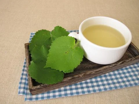 Mulberry leaf tea Stock Photos