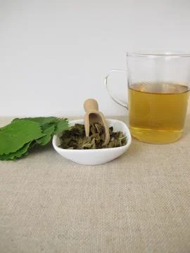 Mulberry leaf tea Stock Photos