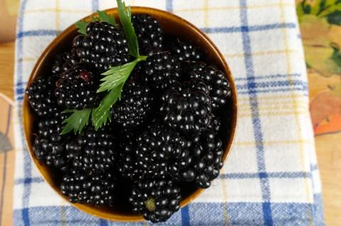 Mulberry in mug Stock Photos
