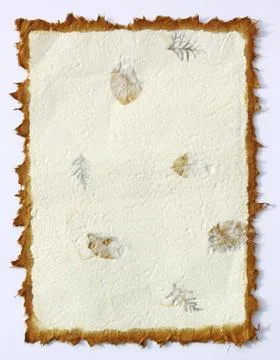Mulberry paper with leaves Stock Photos