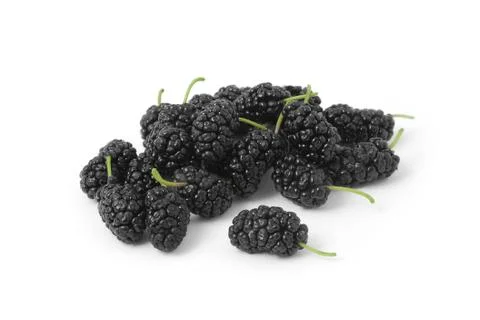 Mulberry Stock Photos
