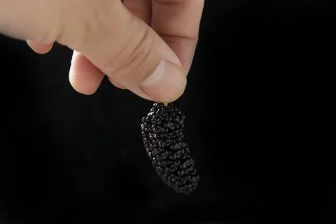 Mulberry Stock Photos