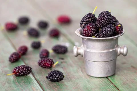 Mulberry red fruits, healthy vegetarian food Stock Photos