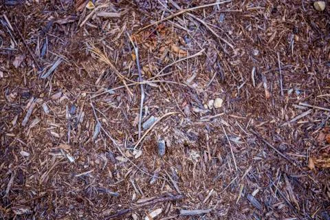 Mulch background 스톡 사진