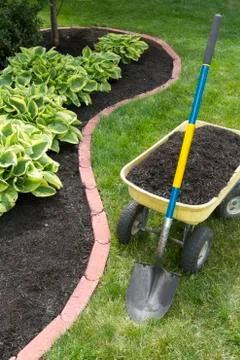 Mulch bed with edging Stock Photos