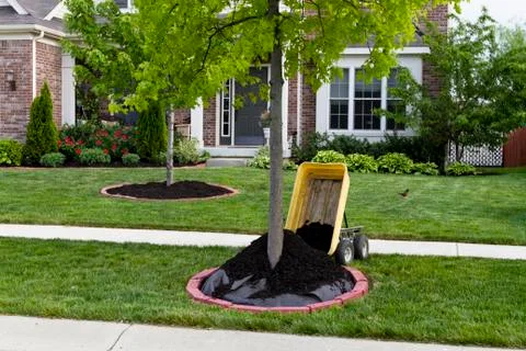 Mulch dumping cart Stock Photos