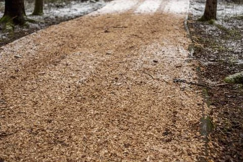 Mulch scattered on the forest path Photos