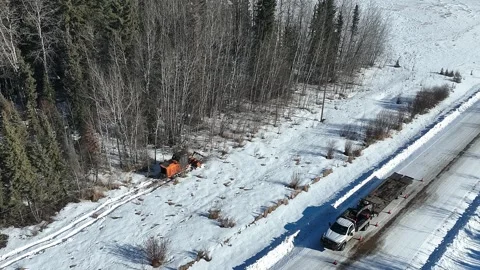 Mulcher cutting down underbrush below a powwerline Stock Footage 303531719