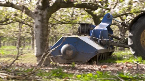 Mulcher on orchard slow motion Stock Footage 97491886