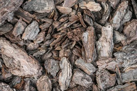 Mulching flowerbed with pine tree bark mulch as background. Heap of dry pine  Stock Photos