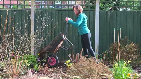 Mulching fruit trees in springtime Stock Footage 321462845