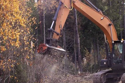 Mulching head on an excavator clearing side of forest road. Stock Photos