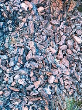 Mulching material composed of irregularly shaped wood chips in various shades of Stock Photos