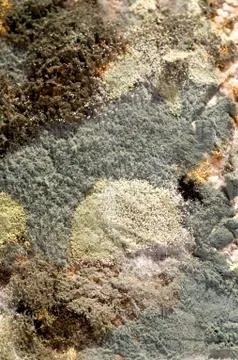 Muld in closeup Stock Photos