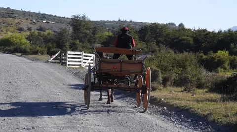 Mule with a coach on the road. Chile Stock Footage 58251840