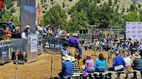 Mule Days Auction-Sold $27K Video stock 335239083