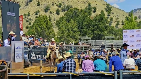 Mule Days mule auction-Sold $27K Video stock 335239064