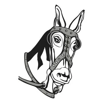 Mule Head Portrait - B&amp;W Vector Art Stock Illustration