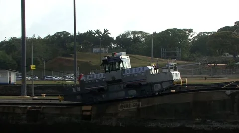 Mule on the Panama Canal Video stock 67662108