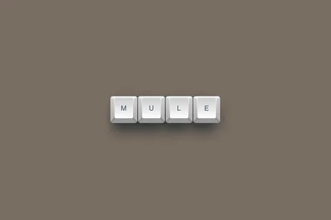 Mule text on a 3d keyboard button with shadow concept series Stockillustratie