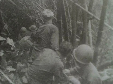 Mules labor staggeringly along with the United States 3rd Battalion in 1944,ƒ Stock Footage 75298762