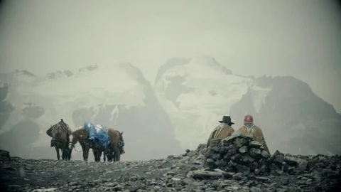 Muleteers on mountain basecamp Stock Footage 73349171