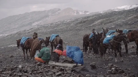 Muleteers on mountain basecamp Stock Footage 111636066