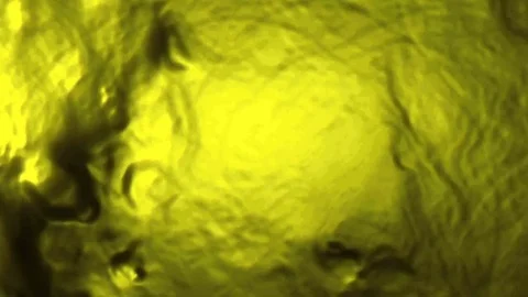 Mulitcoloured Ripple 1 Stock Footage 85300796