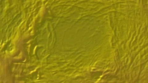 Mulitcoloured Ripple 8 Stock Footage 85316316