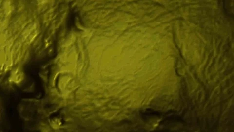 Mulitcoloured Ripple 9 Stock Footage 85316411