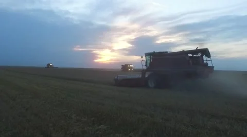 Mulitple Combines Cutting Wheat Stock Footage 65319825