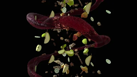 Mulled whine elements falling loop Stock Footage 143153731