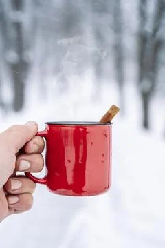 Mulled wine cup in hands in the forest. Winter hot drinks with aromatic spices Stock Photos