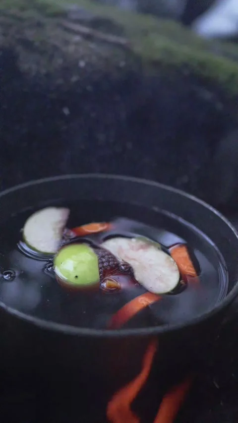 Mulled Wine Simmering Over Campfire in Winter Forest – Vertical Video Stock Footage 311908358