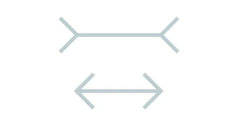 Muller Lyer illusion Stock Footage 127774071