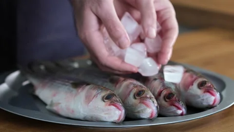 Mullet fish on plate with ice cubes | Stock Video | Pond5