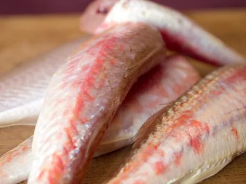 Mullidae fish Stock Photos