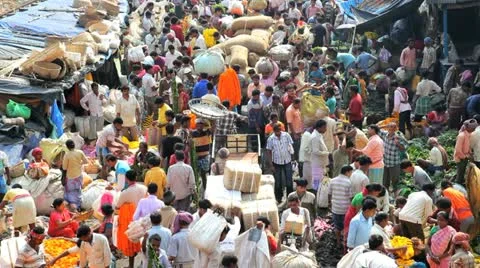 Mullik Ghat Flower Market, India Stock Footage