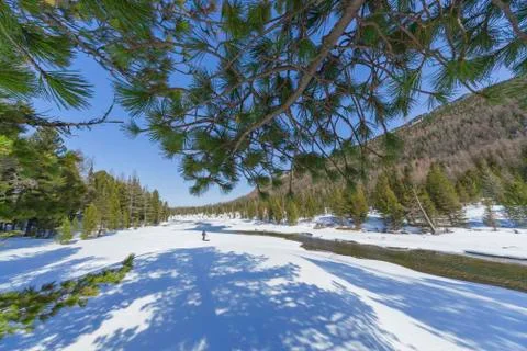 The Multa River in early spring, view from the lower Lake of Multin Foto stock
