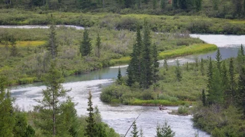 The Multa River in summer. Altai Republic, Russia Stock Footage 315870364