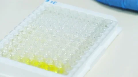 Multi channel pipette loading biological samples in microplate Stock Footage 218018853