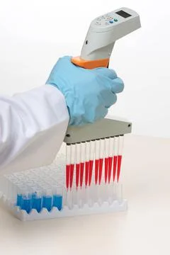 Multi channel pipette Scientist using a multichannel pipette and laborator... Stock Photos