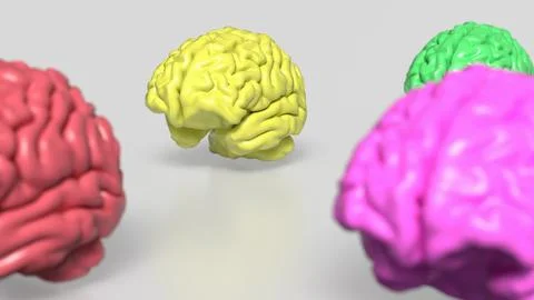 The Multi color Brain on white Background  3d rendering. Stock Illustration